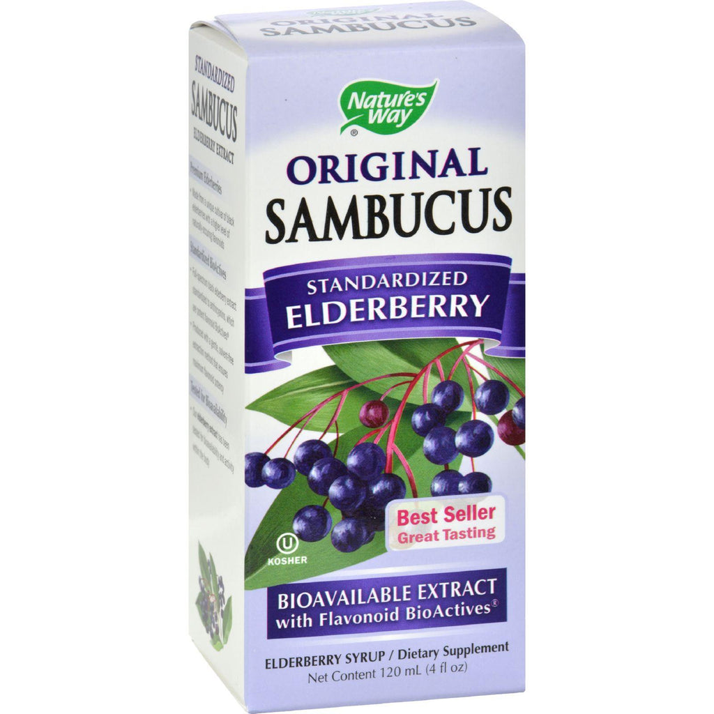 Nature's Way Sambucus Original Syrup - 4 Fl Oz